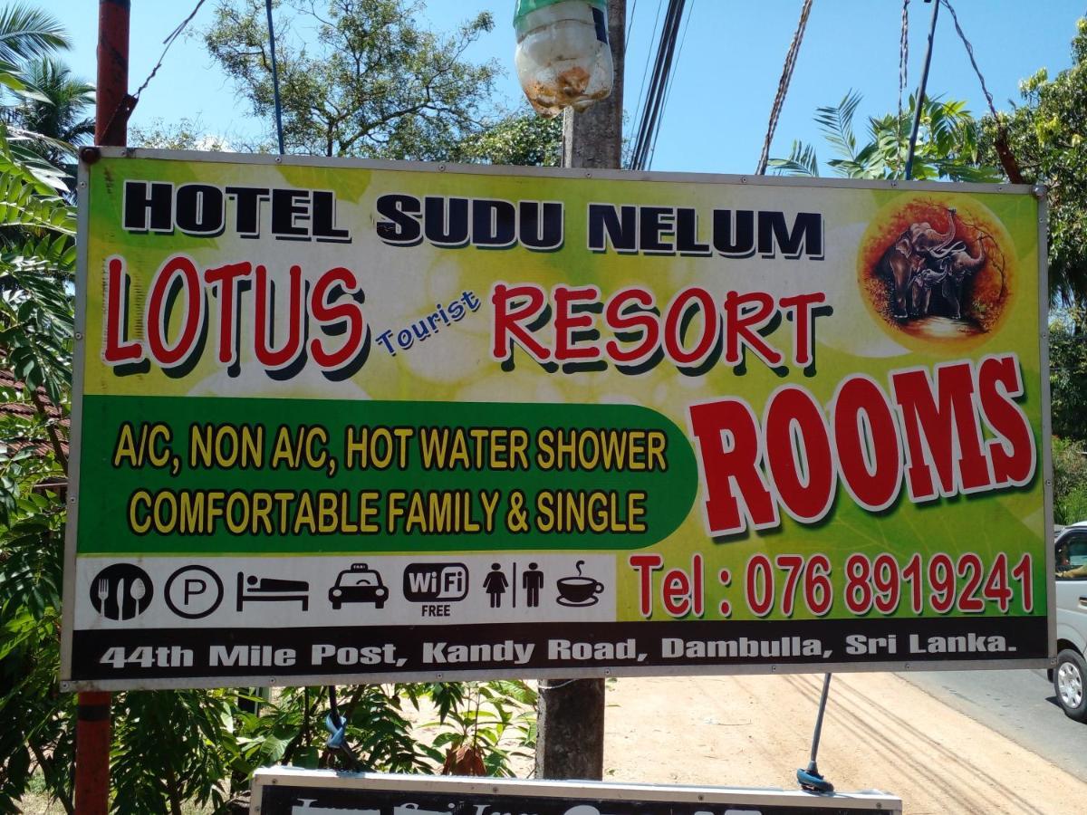 Lotus Inn Tourist Resort Дамбула Екстериор снимка