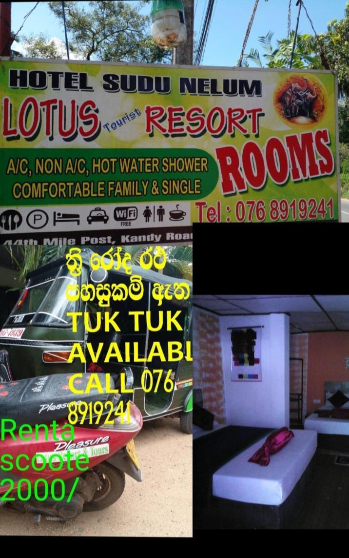 Lotus Inn Tourist Resort Дамбула Екстериор снимка