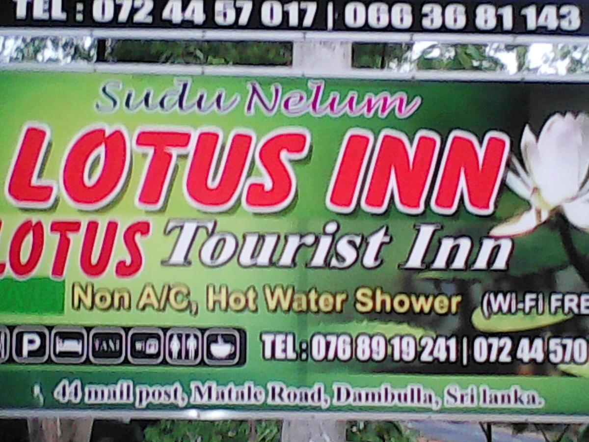 Lotus Inn Tourist Resort Дамбула Екстериор снимка