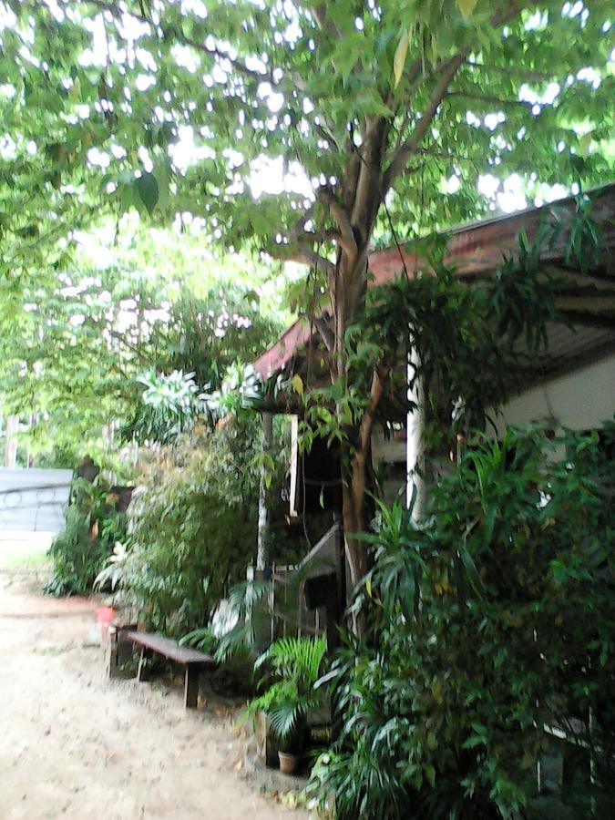Lotus Inn Tourist Resort Дамбула Екстериор снимка