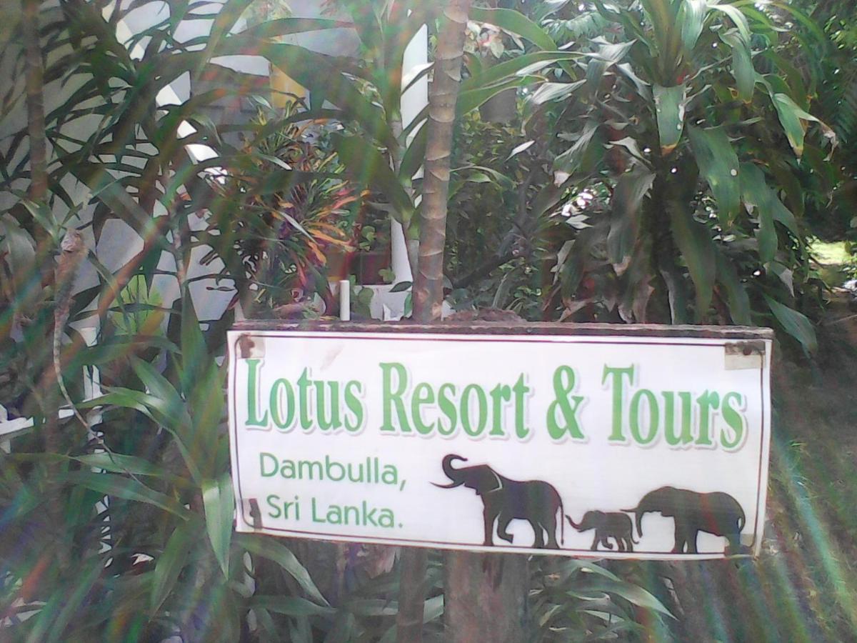 Lotus Inn Tourist Resort Дамбула Екстериор снимка