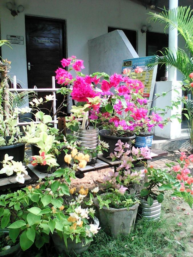 Lotus Inn Tourist Resort Дамбула Екстериор снимка
