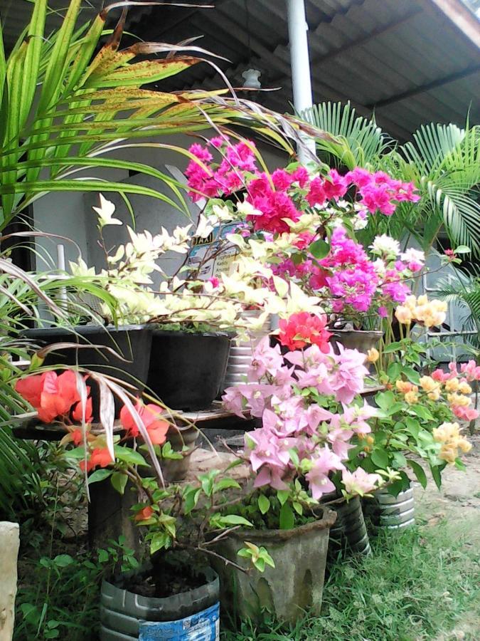 Lotus Inn Tourist Resort Дамбула Екстериор снимка